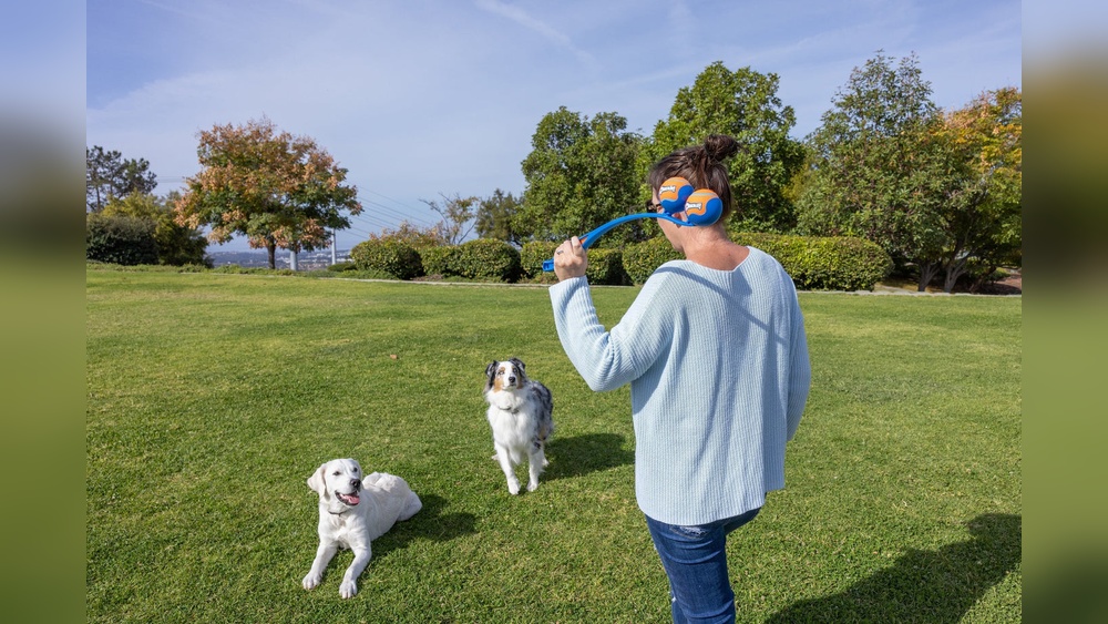 How to Teach Dogs to Share Toys: Simple Steps for Happy Playtime