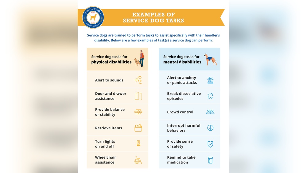 How to Train for a Therapy Dog: Expert Tips for Success
