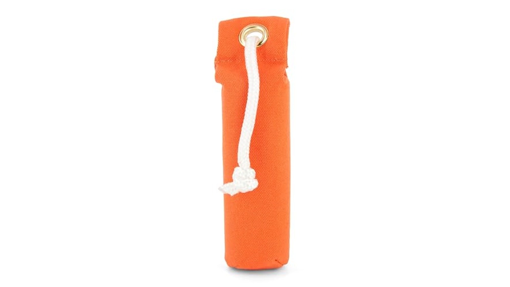 Hunting Accessories for Dogs