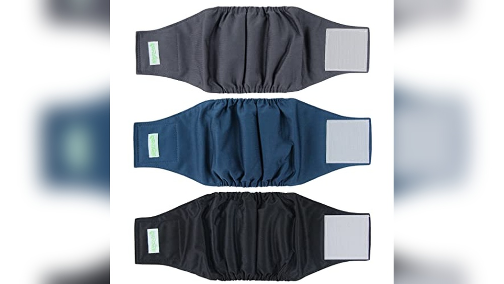 Incontinence Products for Male Dogs