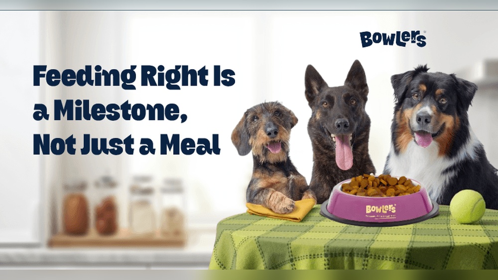 Is It Ok for Puppies to Eat Adult Dog Food