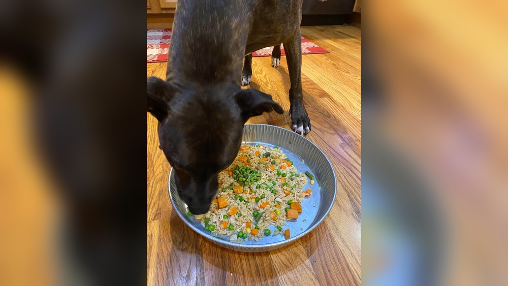 Is Nupro Enough Nutritionally for a Homemade Dog Diet