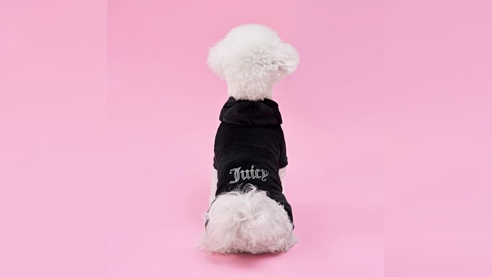 Juicy Couture Dog Accessories