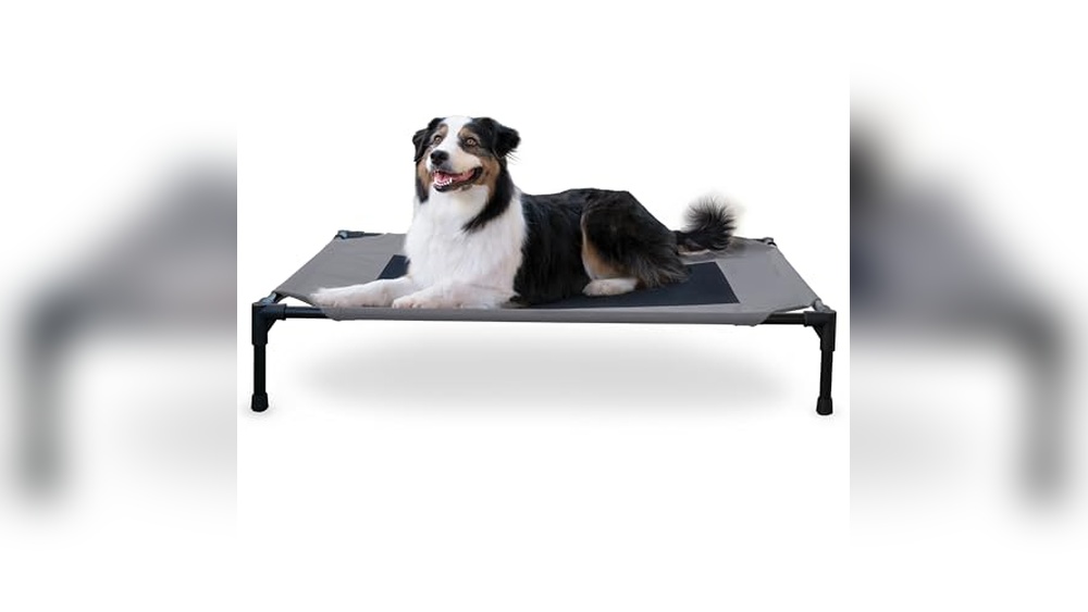 K&H Pet Products Elevated Dog Bed