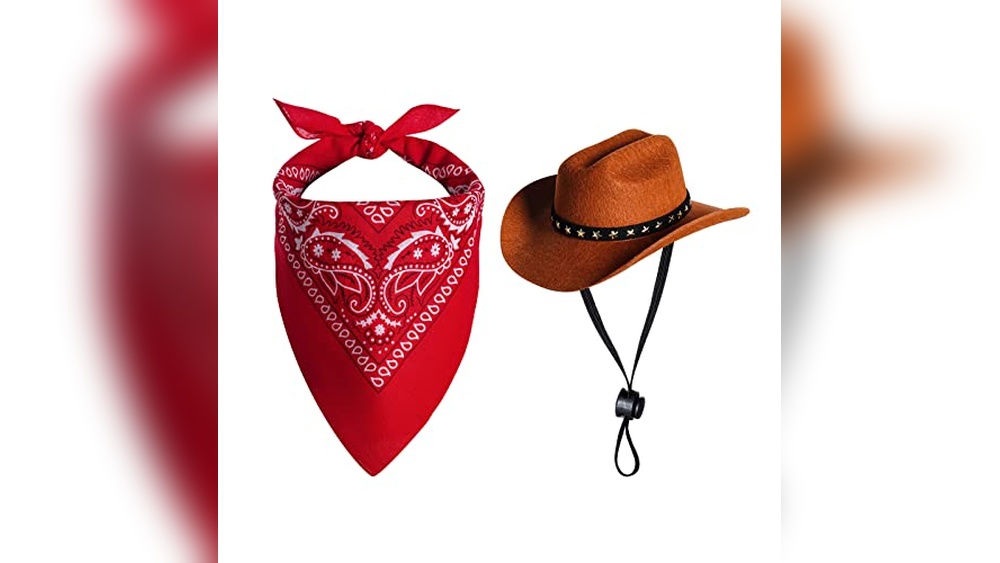 Little Dog Clothes Accessories