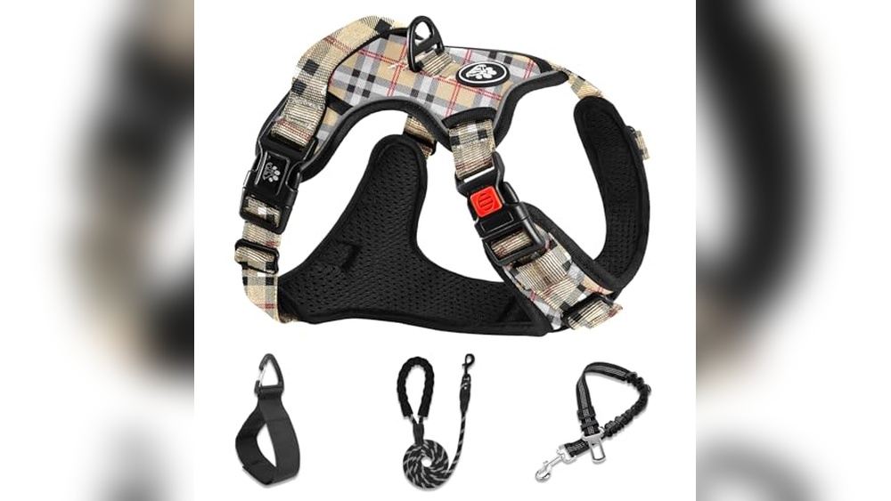 Louis Vuitton Dog Accessories