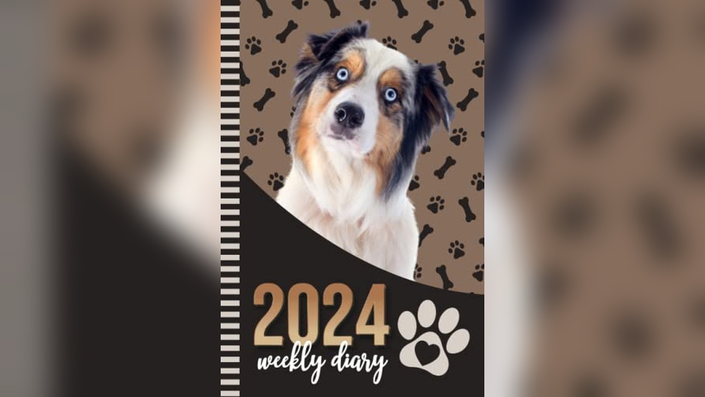 Lucky Dog Productions 2024 Schedule