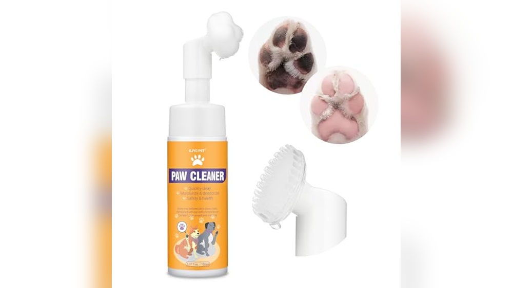 Luxury Accessories for Dogs