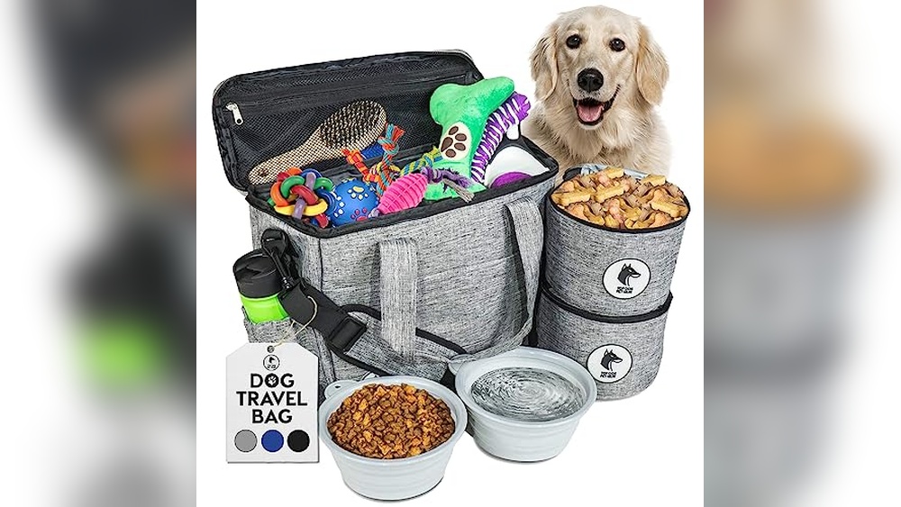 Luxury Dog Travel Accessories