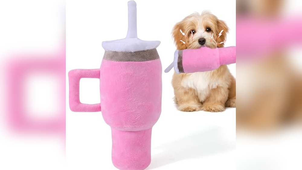 Name Brand Dog Accessories