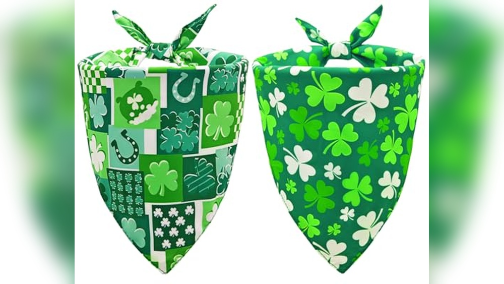 Notre Dame Dog Accessories