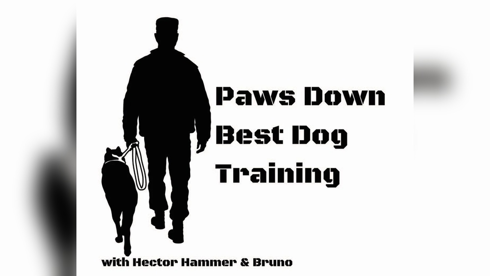 Paws down Best Dog Training