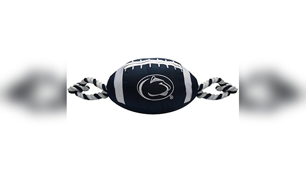 Penn State Dog Accessories