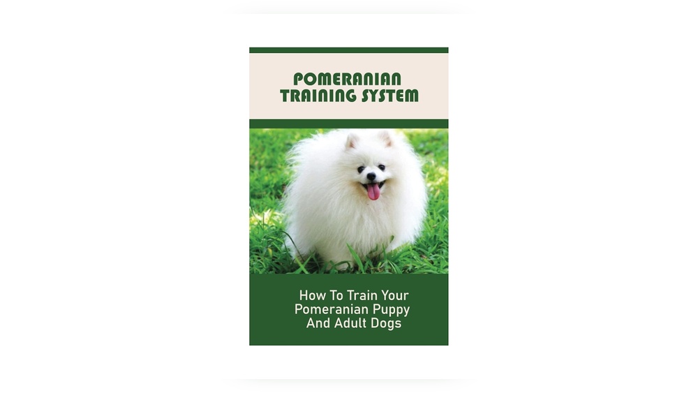 Pomeranian Puppy Training Tips