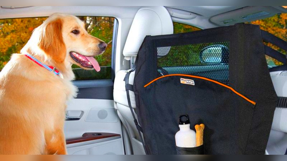 Safest Way to Travel With Dog in Car: Ultimate Tips for Secure Trips