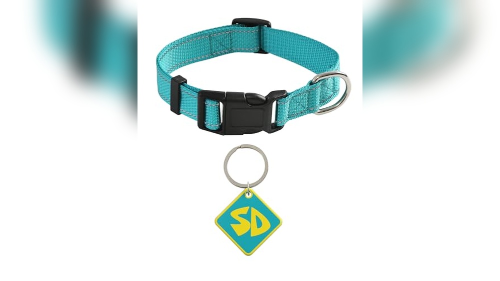 Scooby Doo Dog Accessories