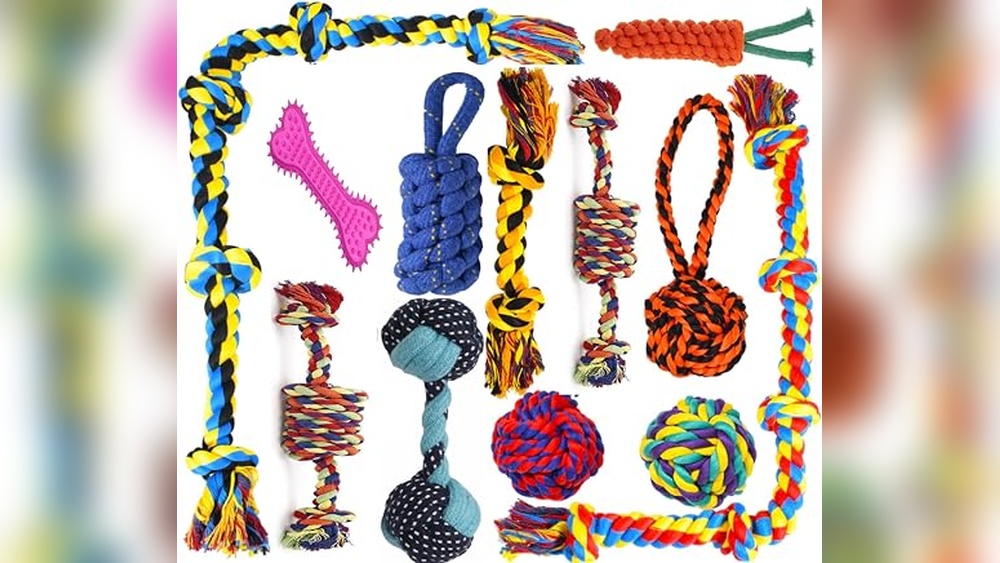 Shop for Dog Accessories