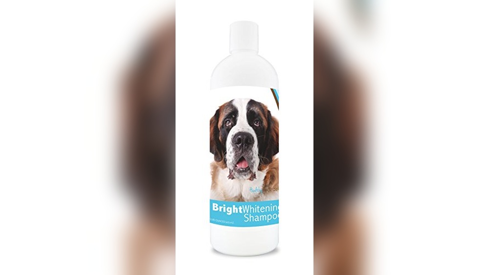 St Bernard Dog Accessories
