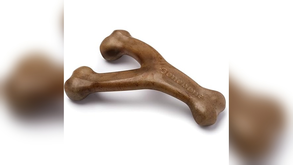 The Best Bones for Dogs
