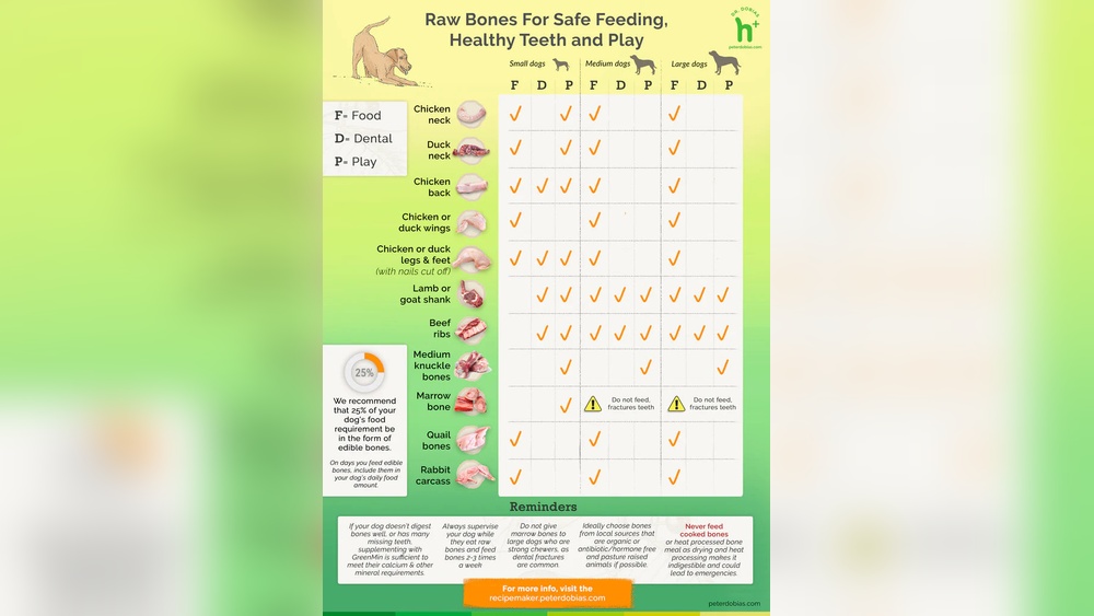 The Best Bones for Dogs