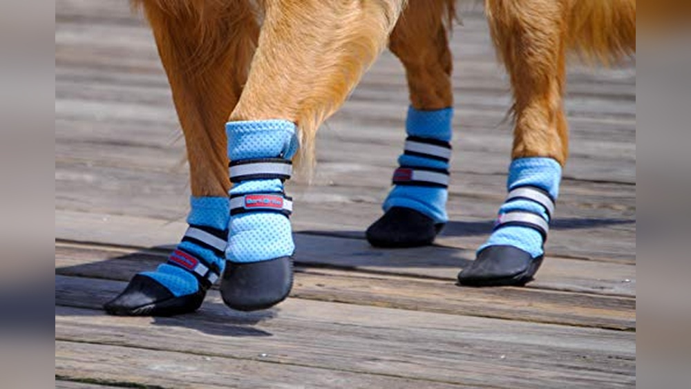 The Best Boots for Dogs: Top Picks for Comfort and Durability