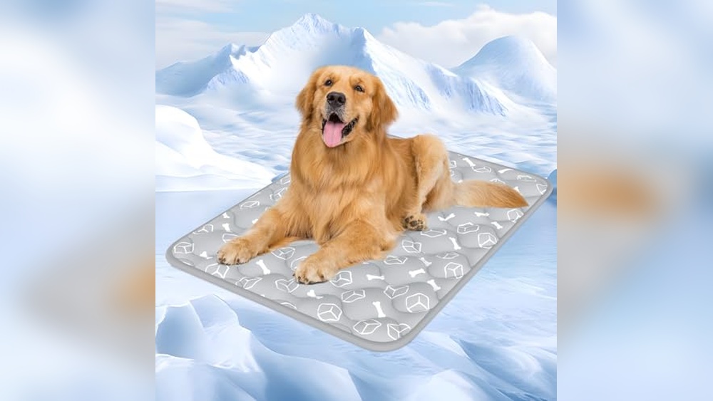 The Best Cooling Mats for Dogs to Keep Your Pet Comfortable