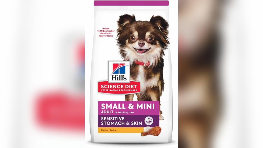 The Best Dog Food for Chihuahuas