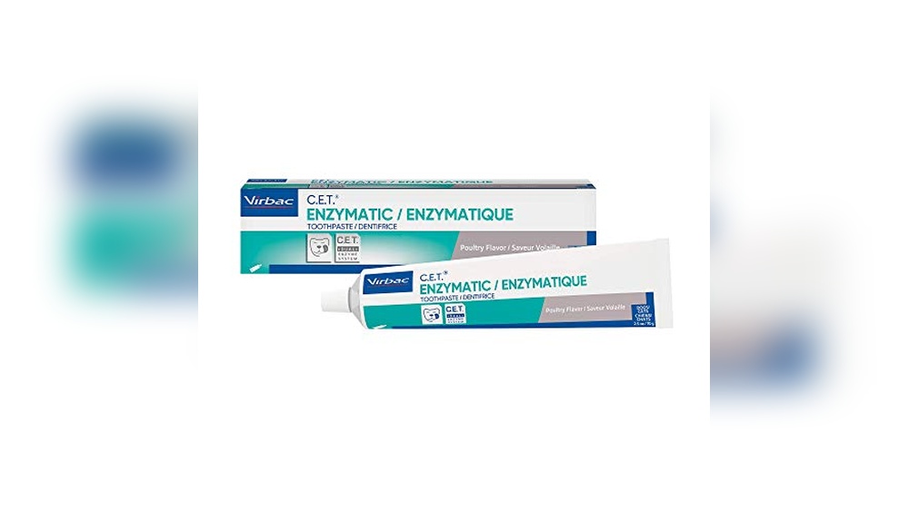 The Best Toothpaste for Dogs