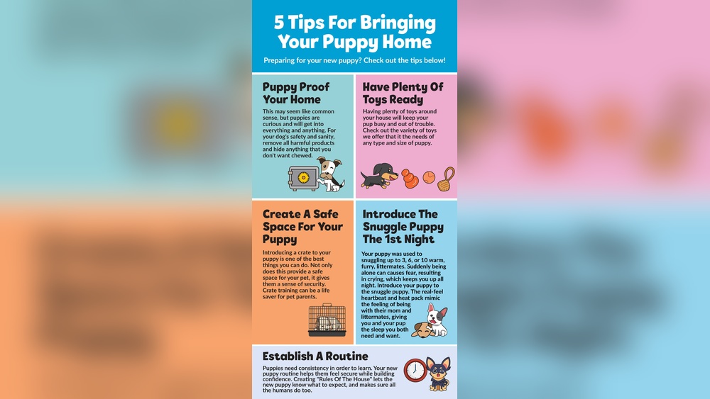 Tips on Bringing Home New Puppy With Another Dog