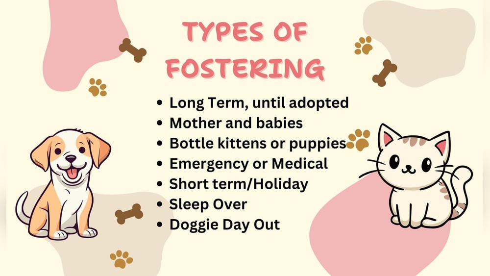 Tips on Fostering Puppies