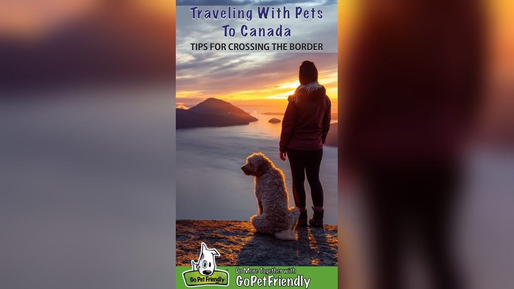 Traveling Through Canada With a Dog: Essential Tips for Adventure