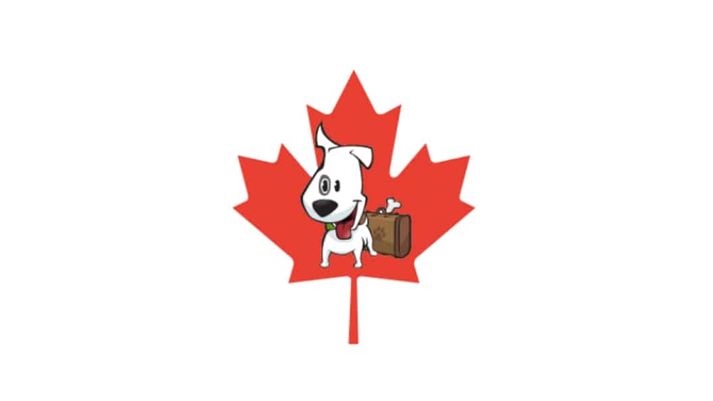 Traveling to Canada With a Dog: Essential Tips for a Smooth Journey