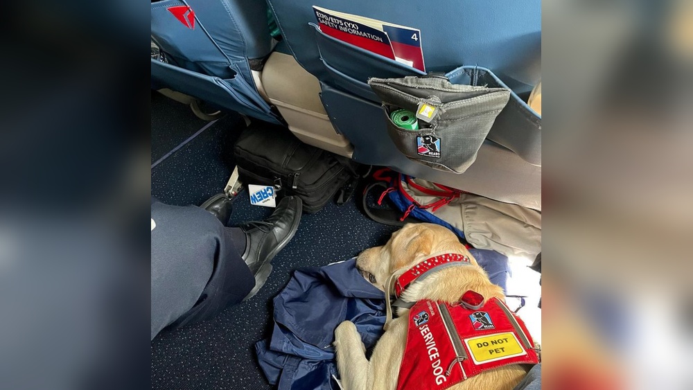 Travelling With a Service Dog