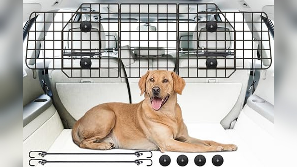 Truck Accessories for Dogs