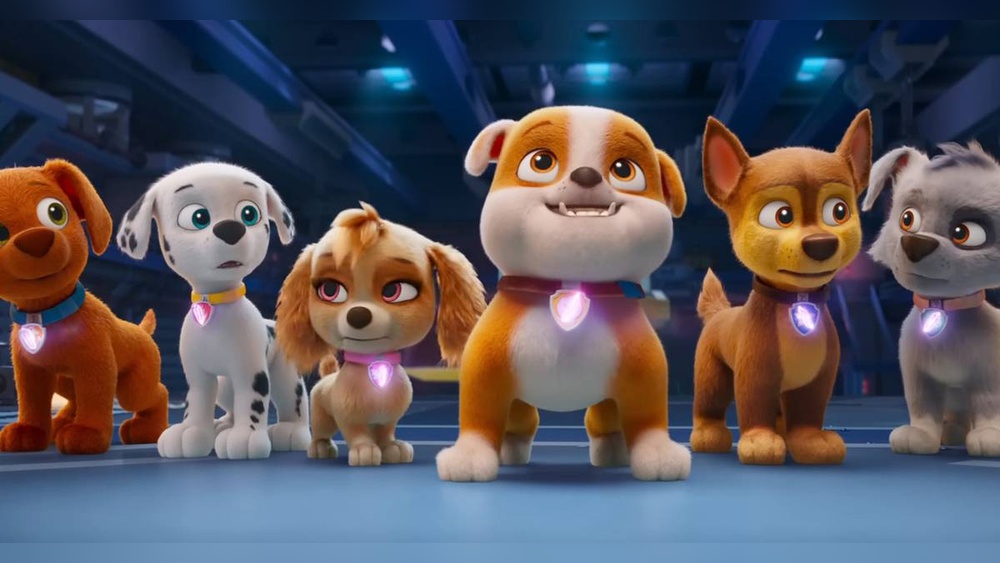 What are the Breeds of Dogs in Paw Patrol