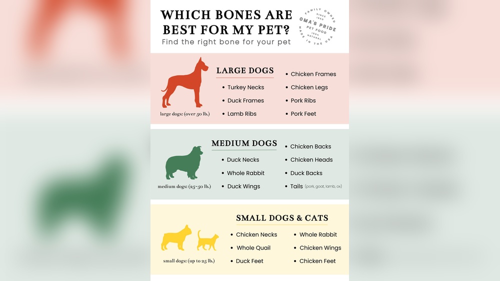 What Bones are Best for Dogs