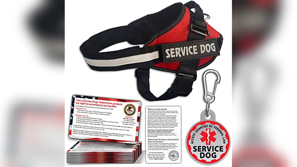 What Breed Makes the Best Service Dog