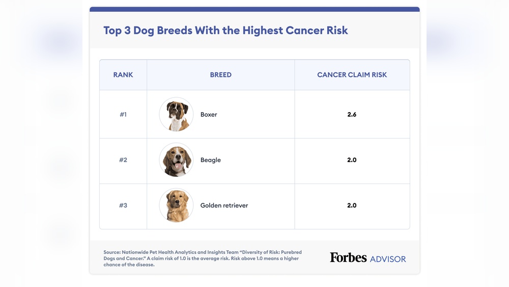 What Dog Breeds Have the Most Health Problems