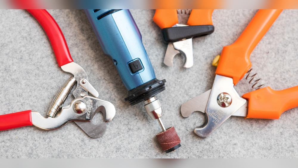 What Dog Nail Clippers are the Best