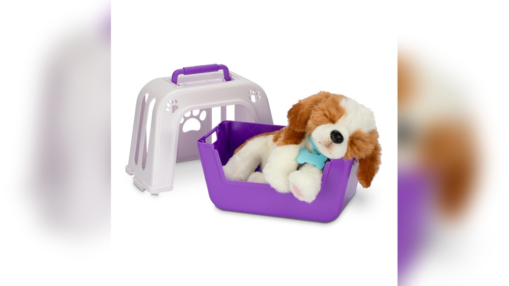 What is a Toy Dog