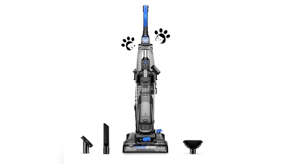 What is Best Flooring for Dogs