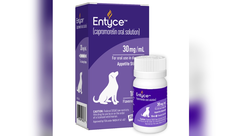 What is the Best Appetite Stimulant for Dogs