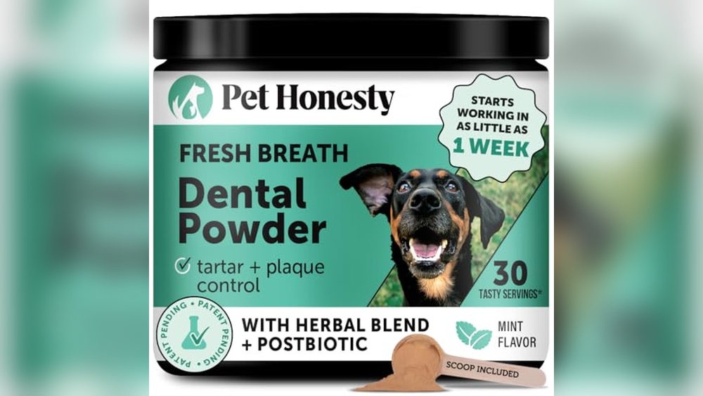 What is the Best Dental Powder for Dogs