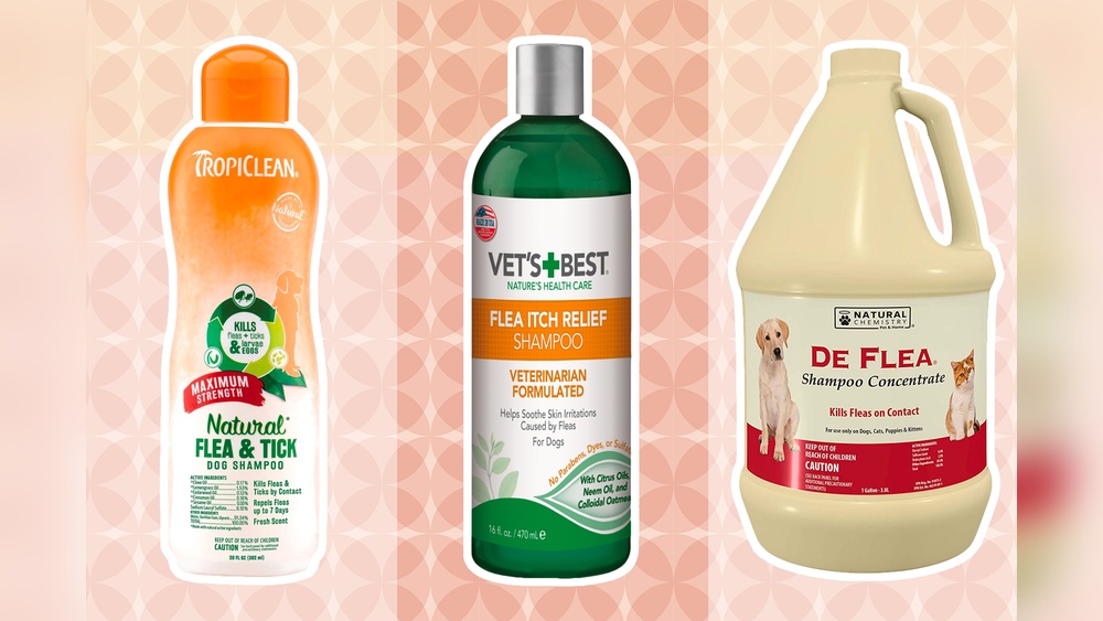 What is the Best Dog Flea Shampoo