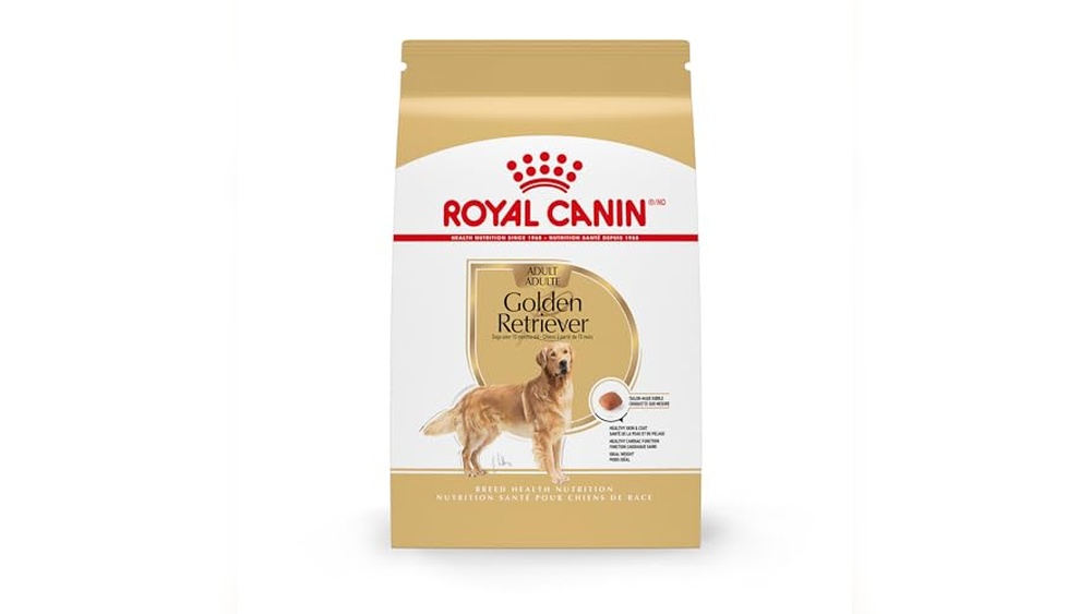 What is the Best Dog Food for a Golden Retriever