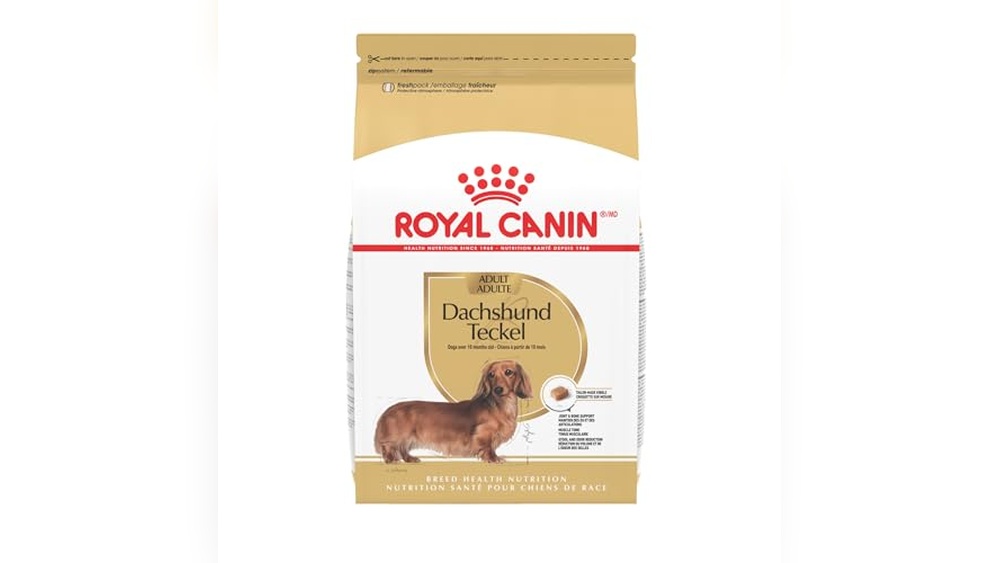 What is the Best Dog Food for Dachshund
