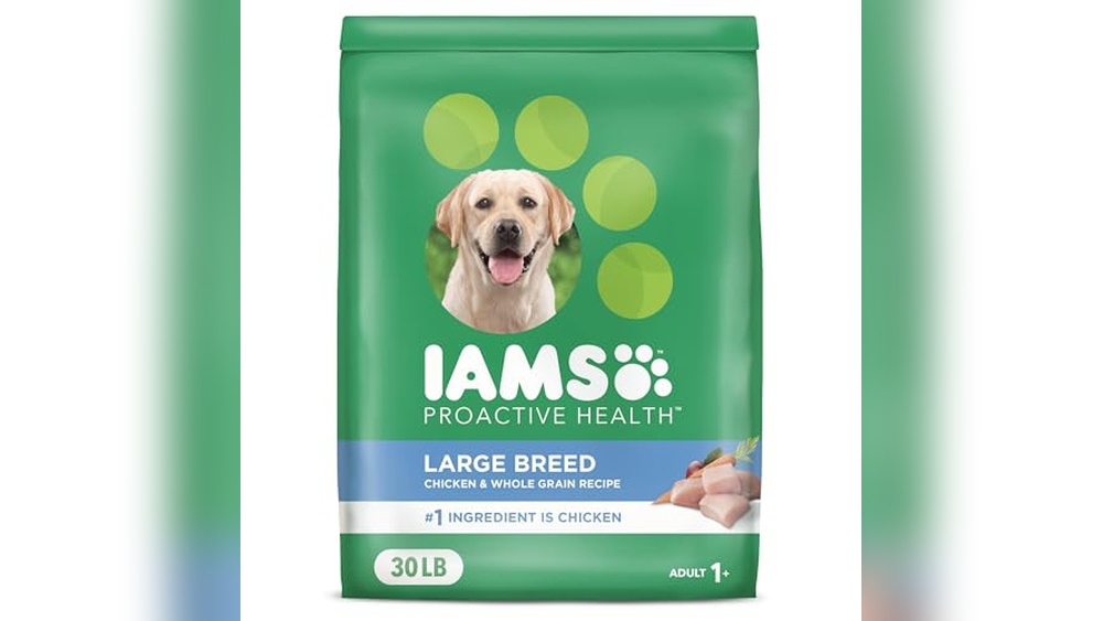 What is the Best Dog Food for Large Breeds