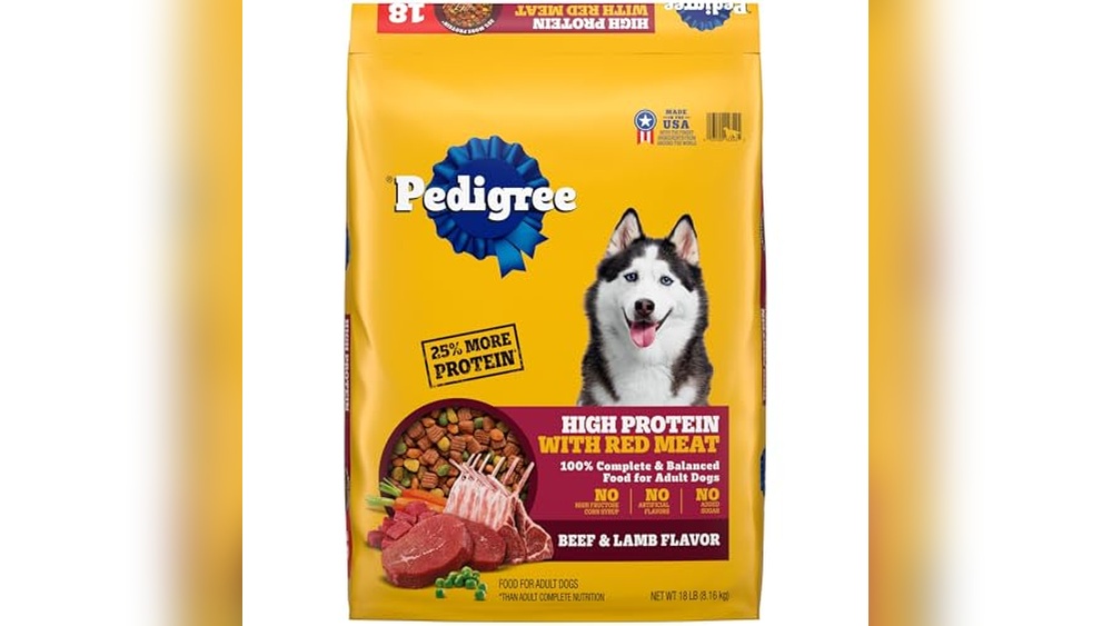 What is the Best Dog Food to Feed a Pitbull