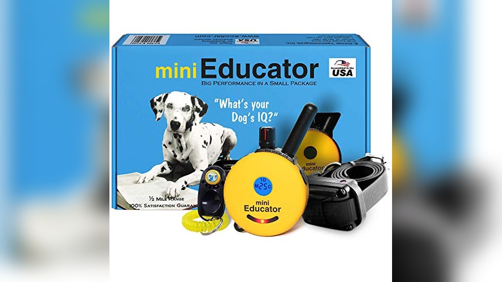 What is the Best E Collar for Dogs