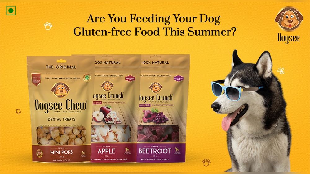 What is the Best Gluten Free Dog Food
